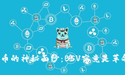 破解加密货币的神秘面纱：BSV究竟是革命还是谎言？