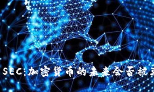 美国SEC：加密货币的未来会否被束缚？