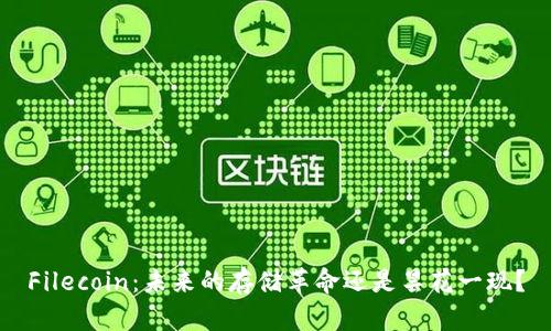 Filecoin：未来的存储革命还是昙花一现？
