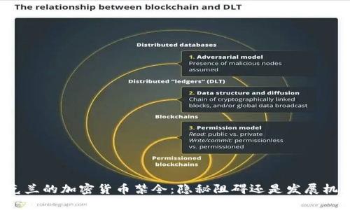 乌克兰的加密货币禁令：隐秘阻碍还是发展机遇？