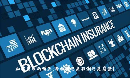 加密货币的明天：价格将迎来狂潮还是崩溃？