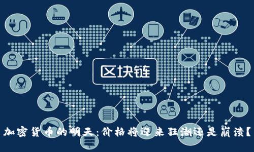 加密货币的明天：价格将迎来狂潮还是崩溃？