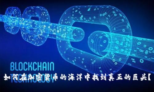 如何在加密货币的海洋中找到真正的巨头？