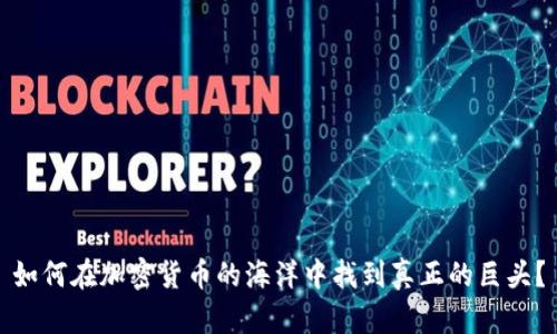 如何在加密货币的海洋中找到真正的巨头？