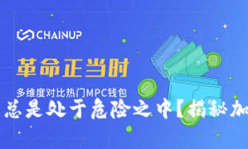 为何你的加密货币总是处于危险之中？揭秘加密资产被盗的真相
