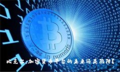 比克尔：加密货币平台的未来还是陷阱？