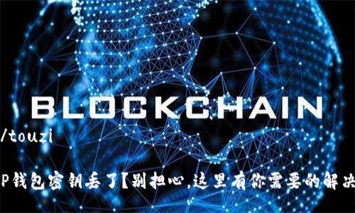 touzi/touzi

你的TP钱包密钥丢了？别担心，这里有你需要的解决方案！