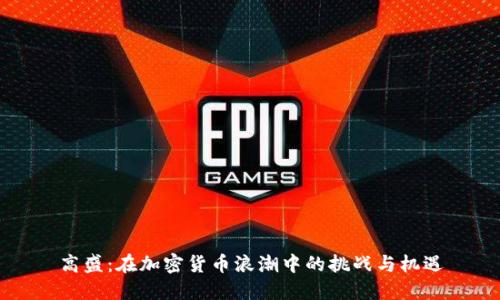 高盛：在加密货币浪潮中的挑战与机遇
