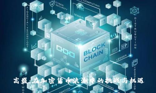 高盛：在加密货币浪潮中的挑战与机遇