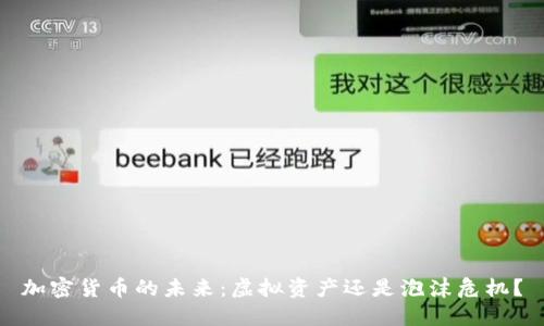 加密货币的未来：虚拟资产还是泡沫危机？