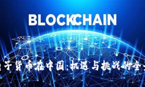 加密电子货币在中国：机遇与挑战的全景透视
