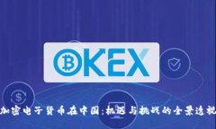 加密电子货币在中国：机