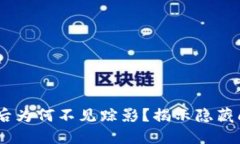DAT转入TP钱包后为何不见踪