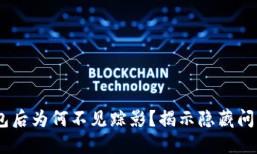 DAT转入TP钱包后为何不见踪影？揭示隐藏问题与解决方案！