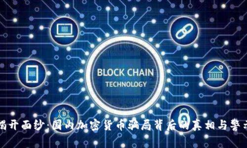 揭开面纱：国内加密货币骗局背后的真相与警示