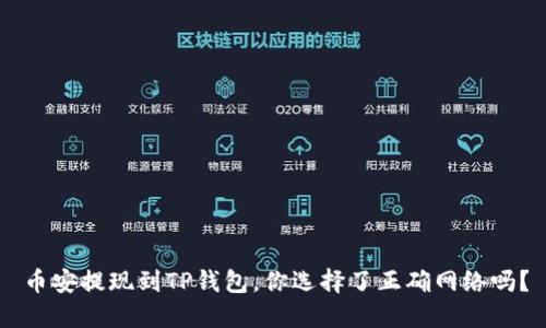 币安提现到TP钱包，你选择了正确网络吗？