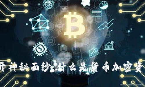 揭开神秘面纱：什么是货币加密资金？