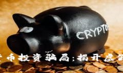 新加坡加密货币投资骗局