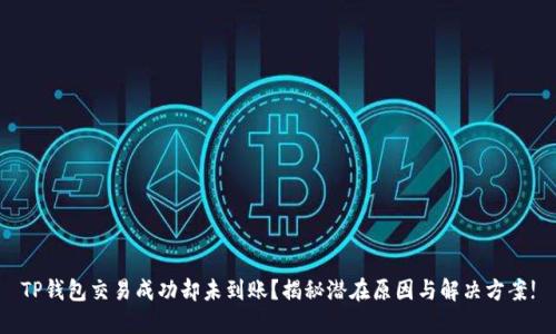 TP钱包交易成功却未到账？揭秘潜在原因与解决方案!