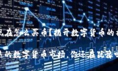 TP钱包现在怎么买币？揭开