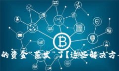 转入TP钱包的资金“蒸发”