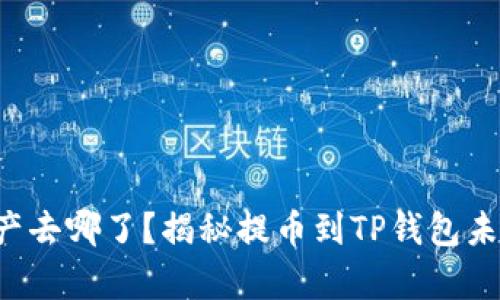 你的数字资产去哪了？揭秘提币到TP钱包未到账的真相！