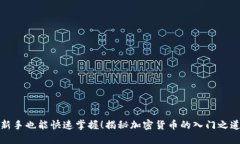 新手也能快速掌握！揭秘