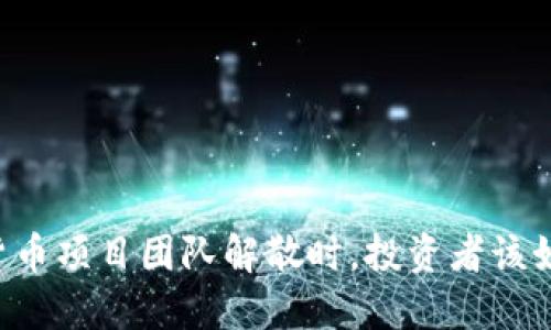 当加密货币项目团队解散时，投资者该如何应对？