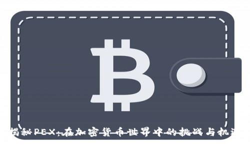 揭秘PEX：在加密货币世界中的挑战与机遇
