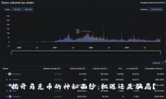 揭开马克币的神秘面纱：