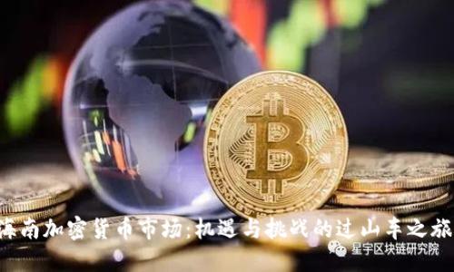 海南加密货币市场：机遇与挑战的过山车之旅！