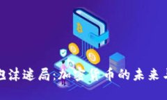 破解泡沫迷局：加密货币