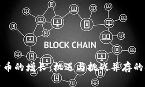 加密数字货币的增长：机遇与挑战并存的金融新纪元