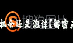 加密货币：投资机会还是