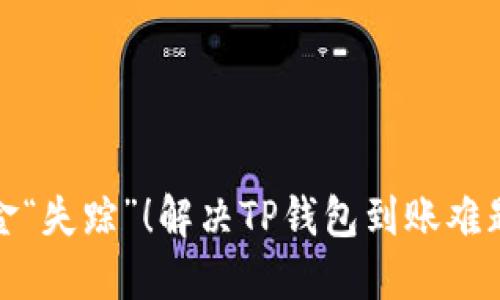 别让你的资金“失踪”！解决TP钱包到账难题的终极攻略