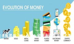 打破传统限制：Visa接纳加