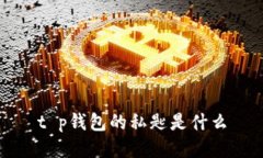 t p钱包的私匙是什么
