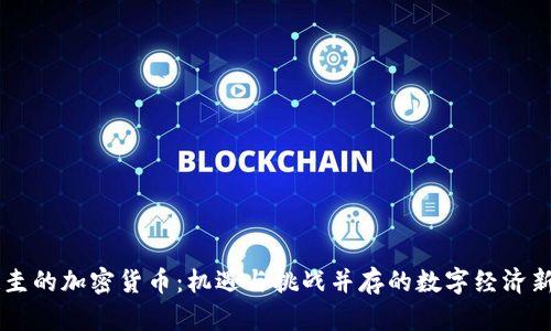 巴拉圭的加密货币：机遇与挑战并存的数字经济新篇章