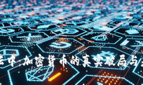 在暴风云中：加密货币的真实破局与未来潜力