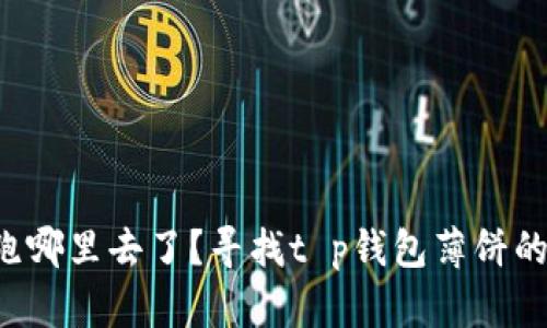 你的钱包跑哪里去了？寻找t p钱包薄饼的绝佳指南！