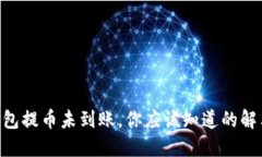 当TP钱包提币未到账，你应