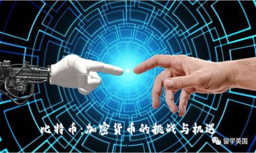 比特币：加密货币的挑战与机遇