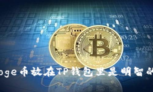 把你的Doge币放在TP钱包里是明智的选择吗？