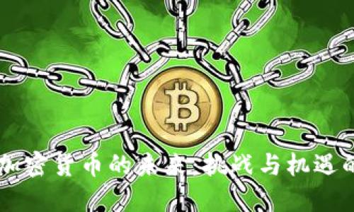 印度加密货币的未来：挑战与机遇的较量