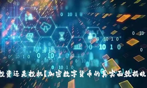 投资还是投机？加密数字货币的真实面貌揭晓！