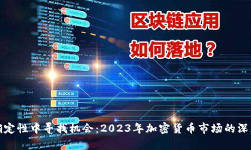 在不确定性中寻找机会：2023年加密货币市场的深度分析