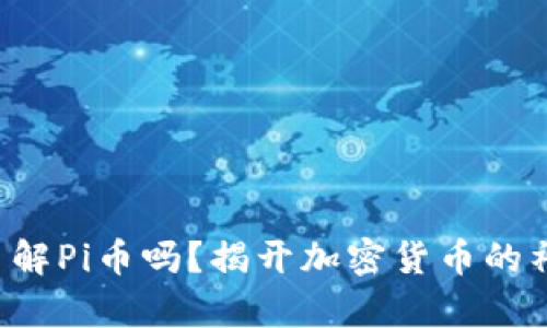 你真的了解Pi币吗？揭开加密货币的神秘面纱！