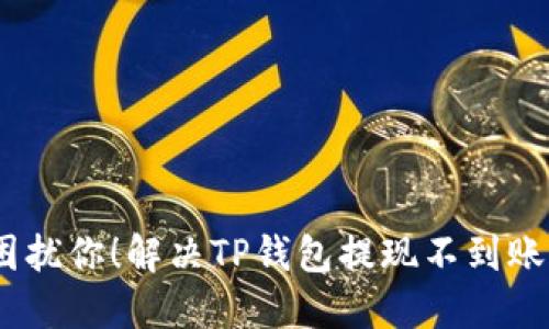 别让资金困扰你！解决TP钱包提现不到账的5大步骤