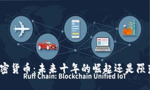 加密货币：未来十年的崛起还是陨落？