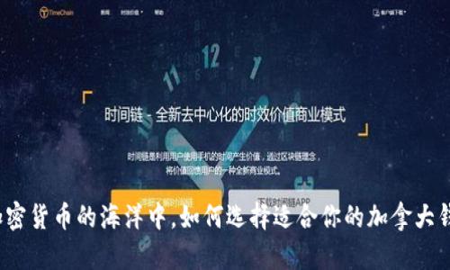 在加密货币的海洋中，如何选择适合你的加拿大钱包？